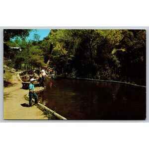 Postcard California Hot Springs Resort Fishing Trout Pond Cocktail Lounge c1950s